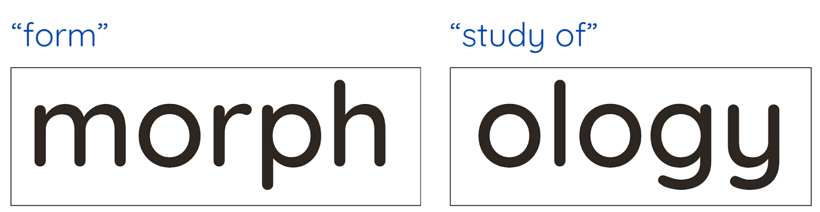 morph ology
