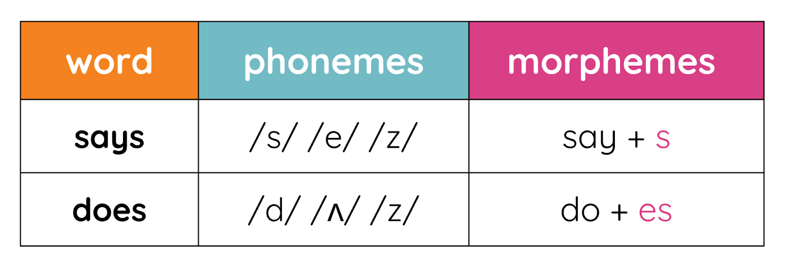Word, phonemes, morphemes